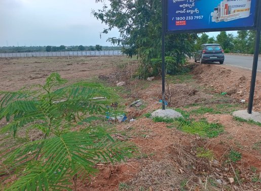 An image of land