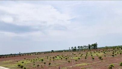 An image of land