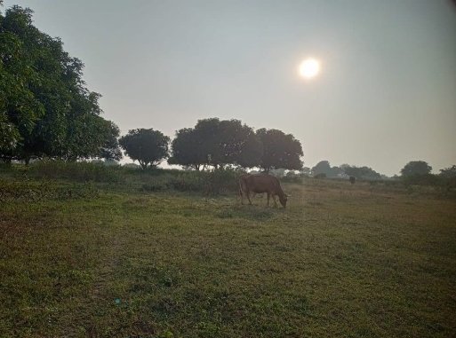 An image of land