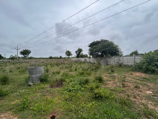An image of land