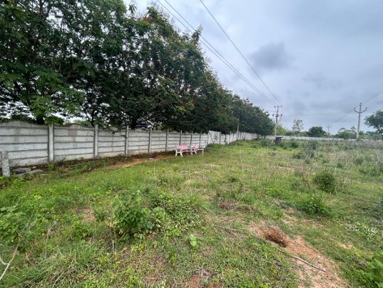 An image of land