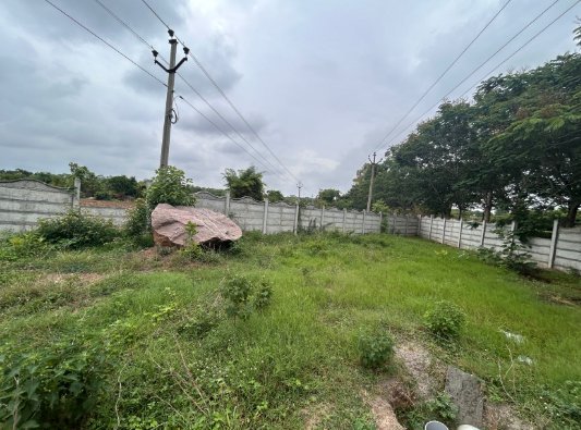 An image of land