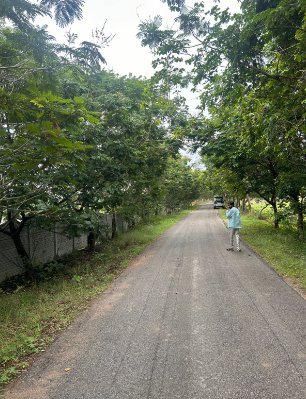 An image of land