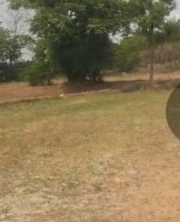 An image of land