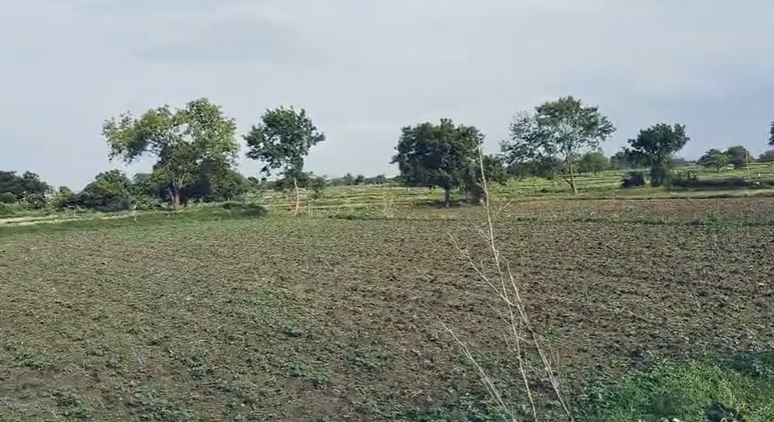 An image of land