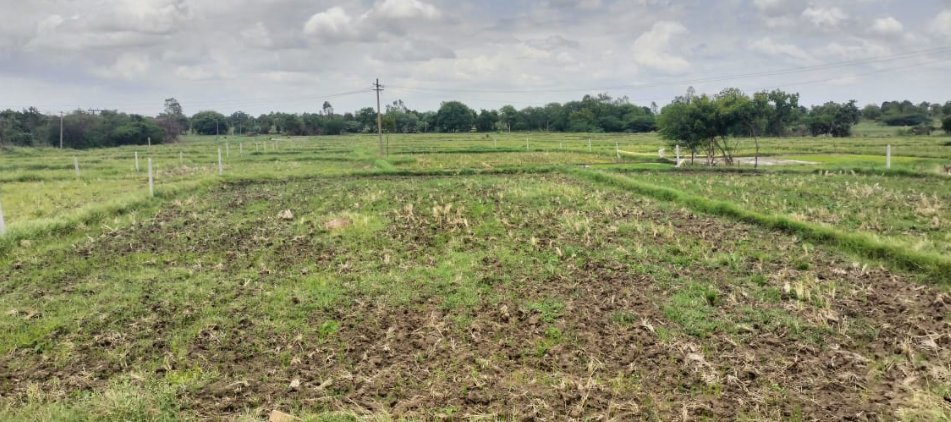 An image of land