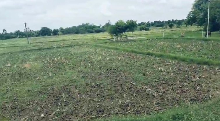 An image of land