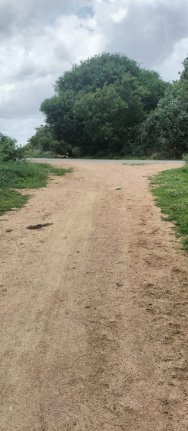 An image of land