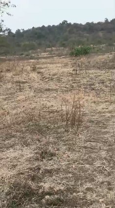 An image of land
