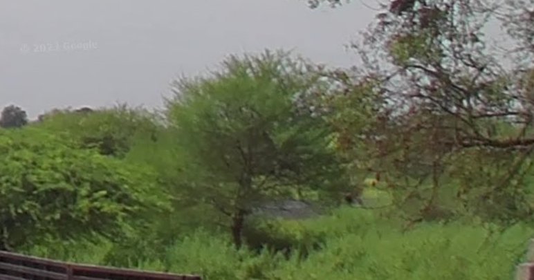 An image of land