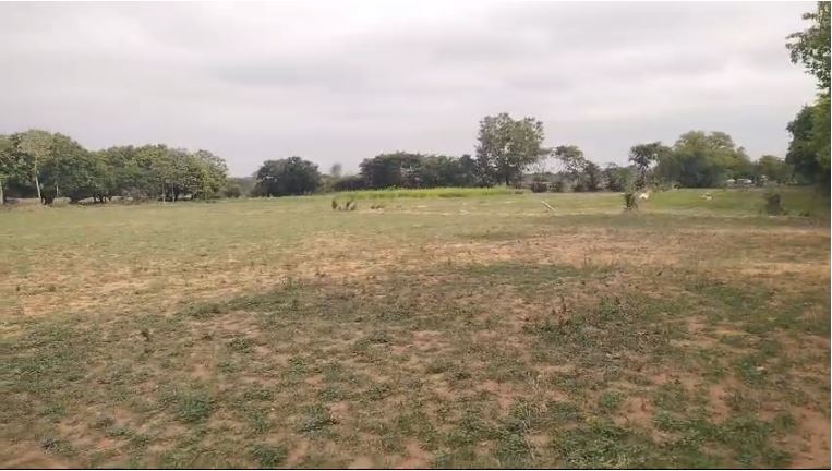 An image of land