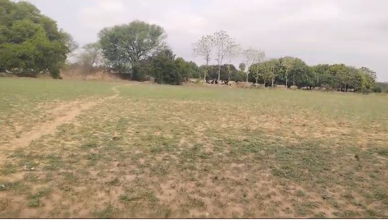 An image of land