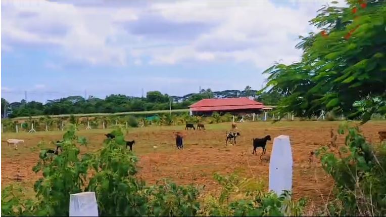 An image of land