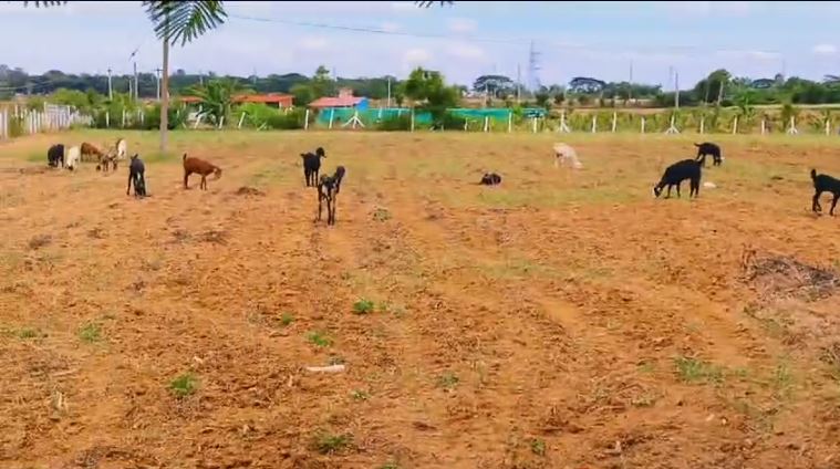 An image of land