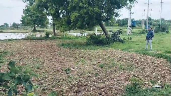 An image of land