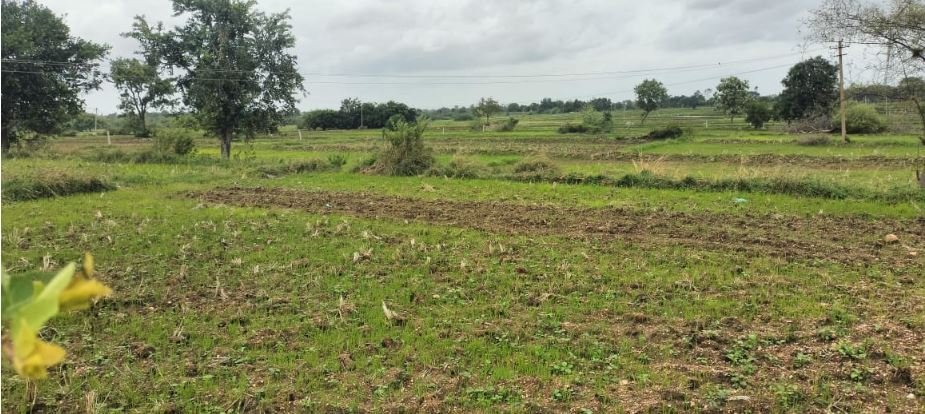 An image of land