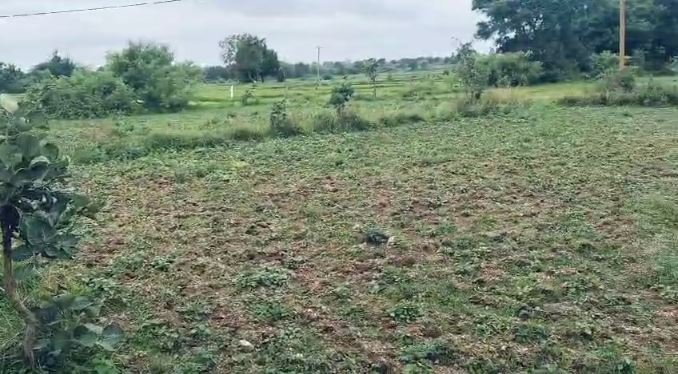 An image of land