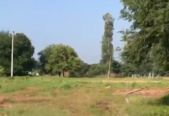 An image of land