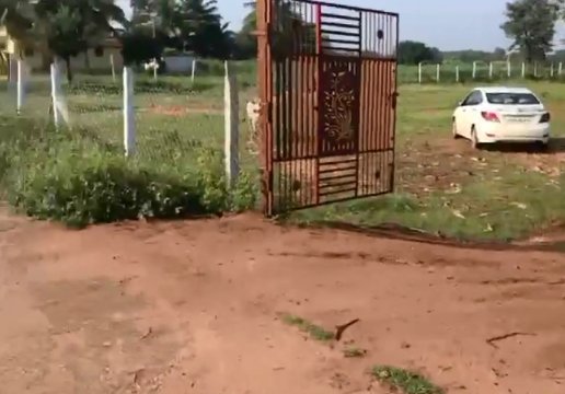 An image of land