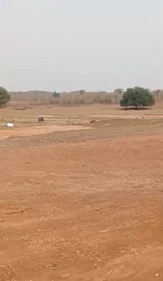 An image of land