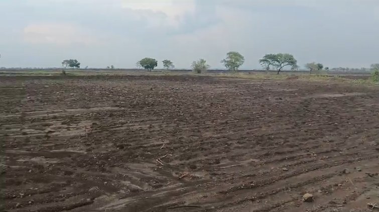 An image of land