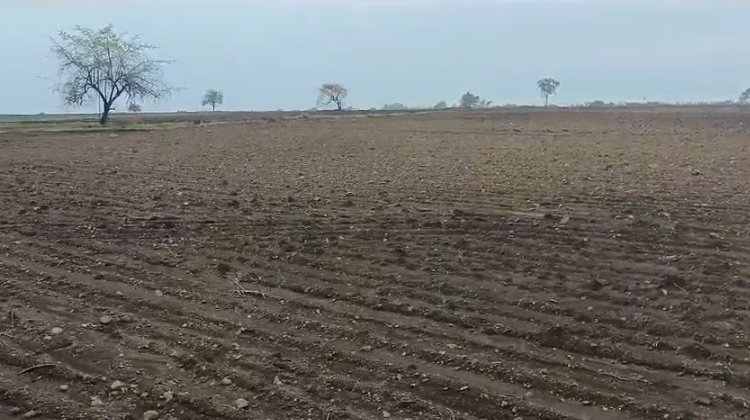 An image of land