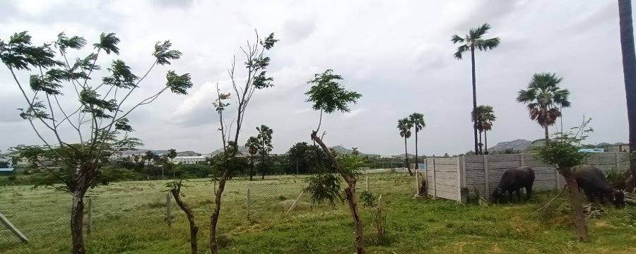 An image of land