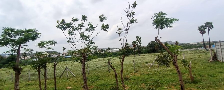 An image of land