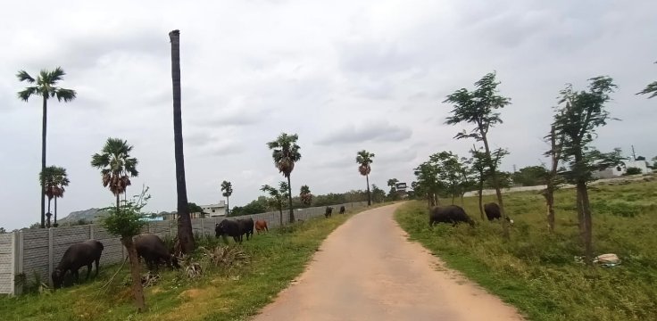 An image of land