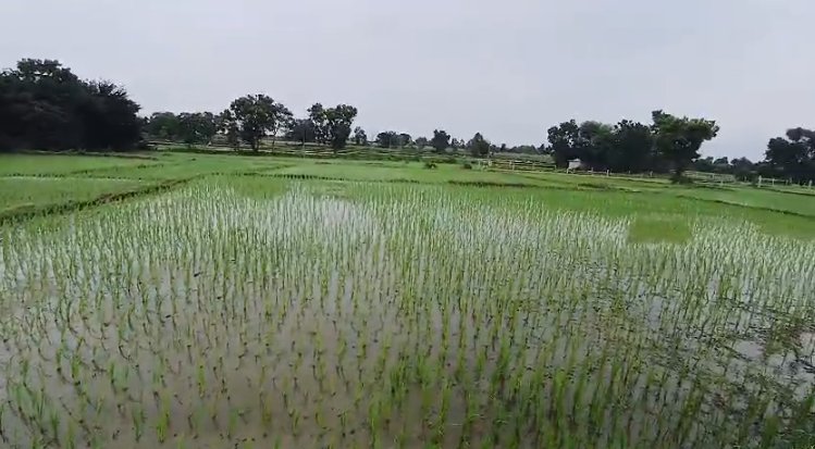 An image of land