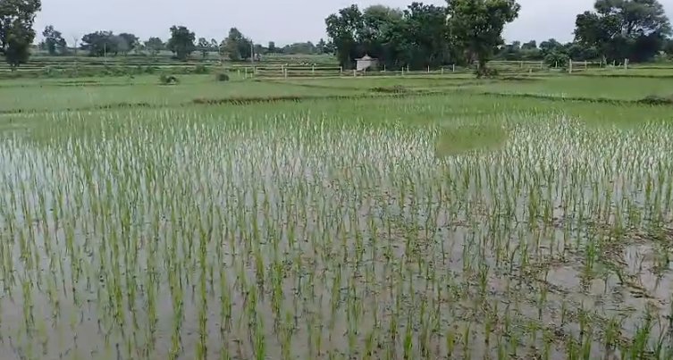 An image of land