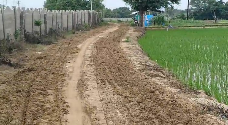 An image of land
