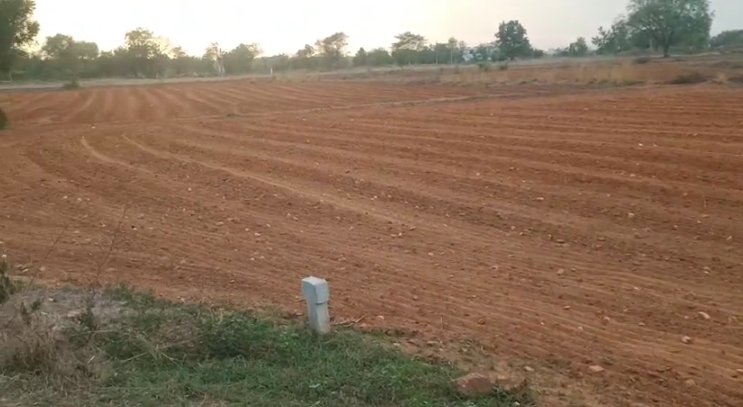 An image of land