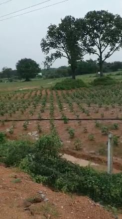 An image of land