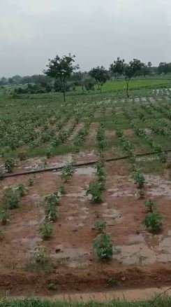 An image of land