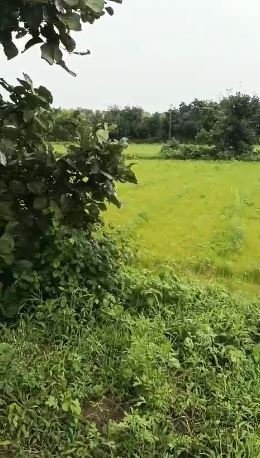 An image of land