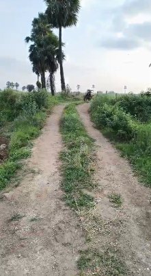 An image of land
