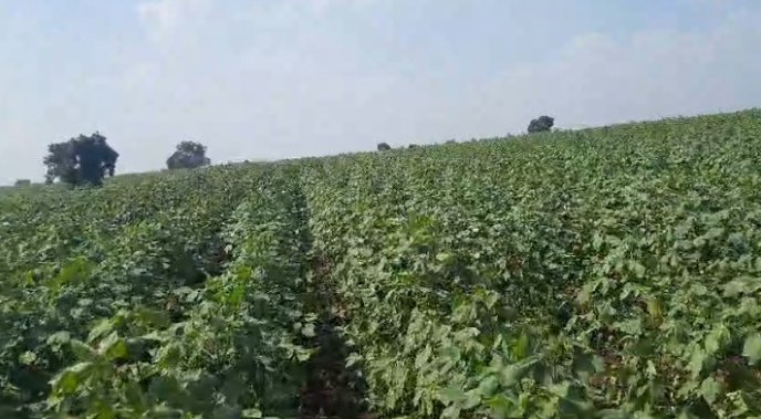 An image of land
