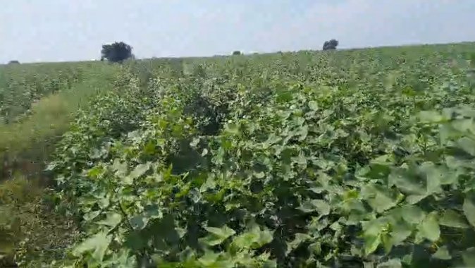 An image of land