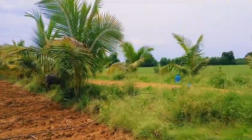 An image of land