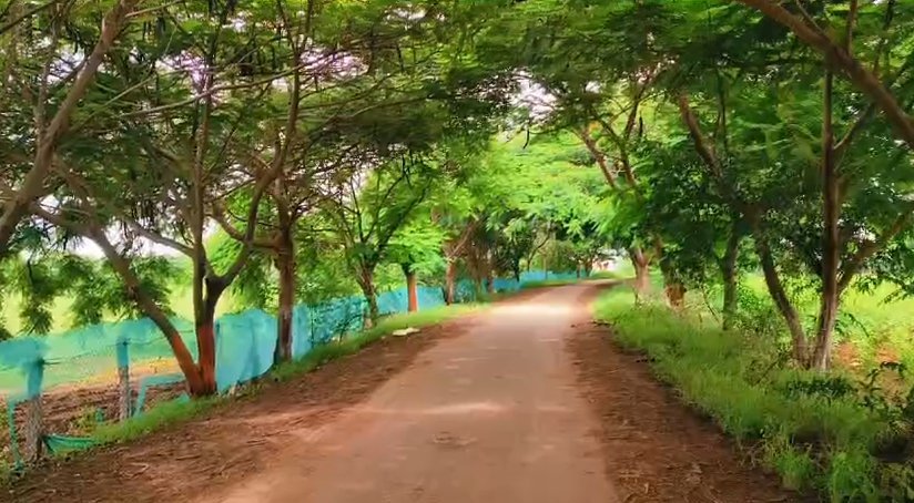 An image of land