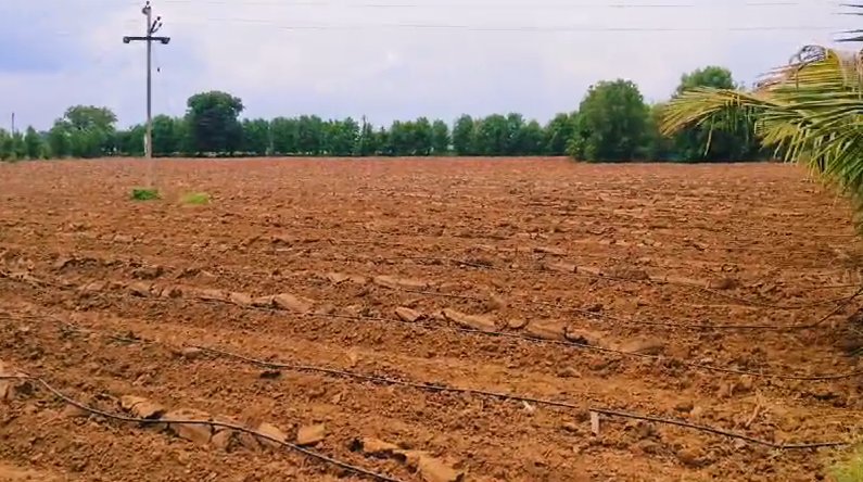 An image of land
