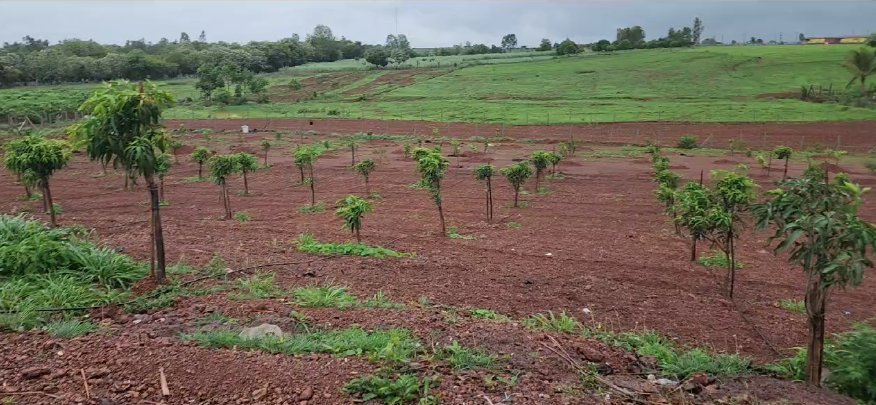 An image of land