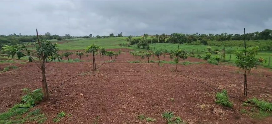 An image of land