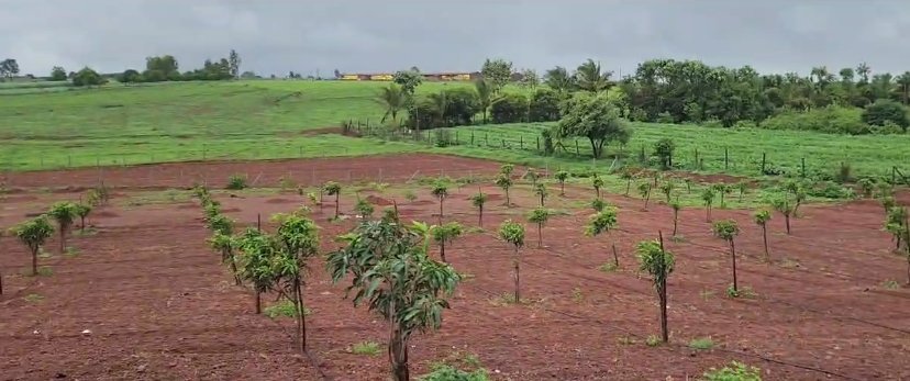 An image of land