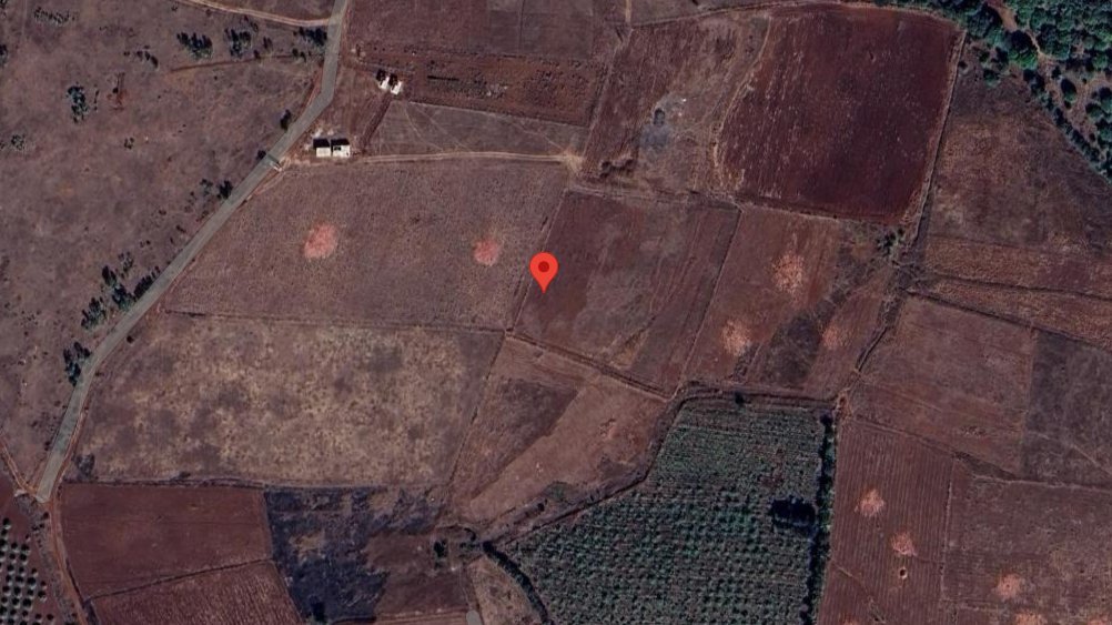 An image of land