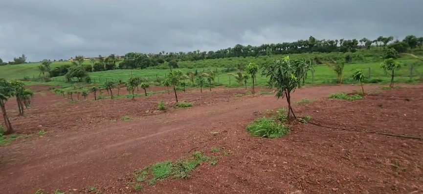An image of land