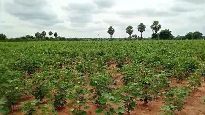 An image of land