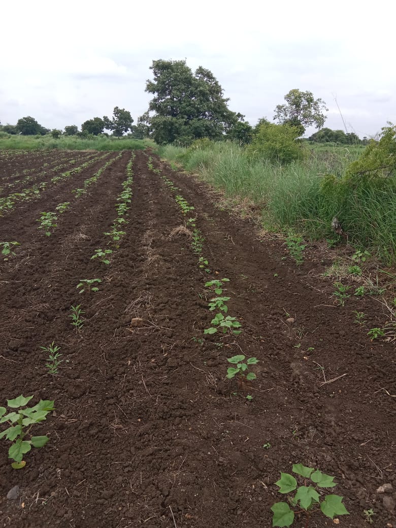 An image of land