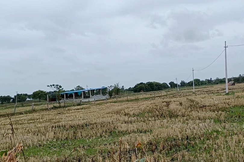An image of land